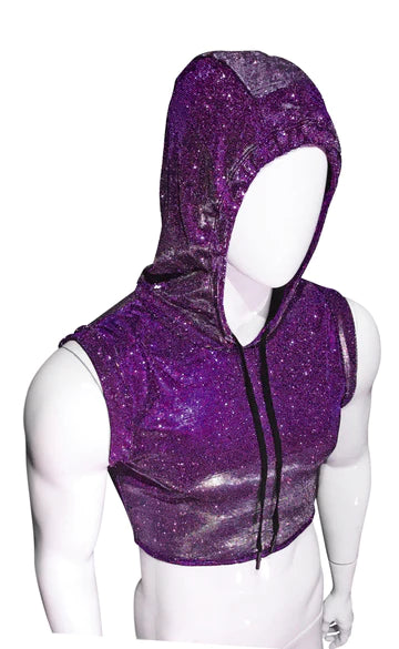 Vibrators with hard tips-Glitter Crop Top - Purple